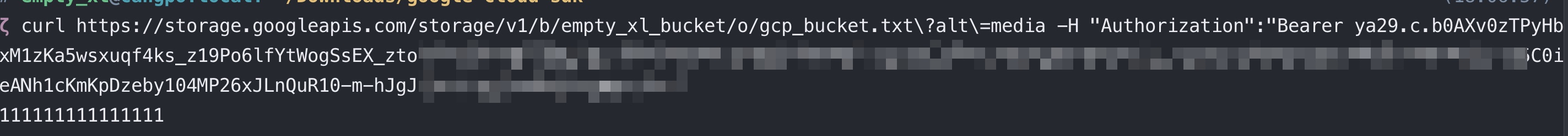 GCP get bucket object data