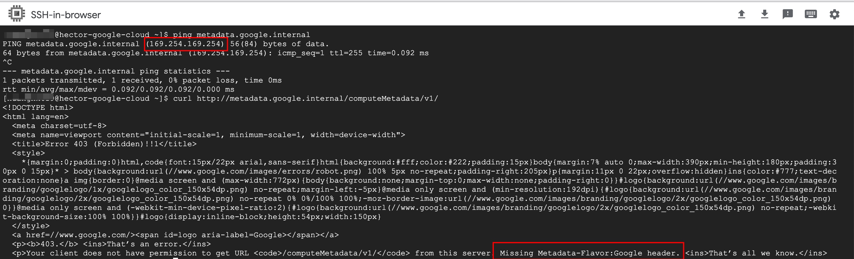 GCP Metadata 403