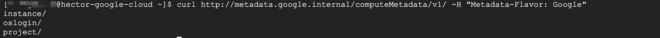 GCP Metadata success