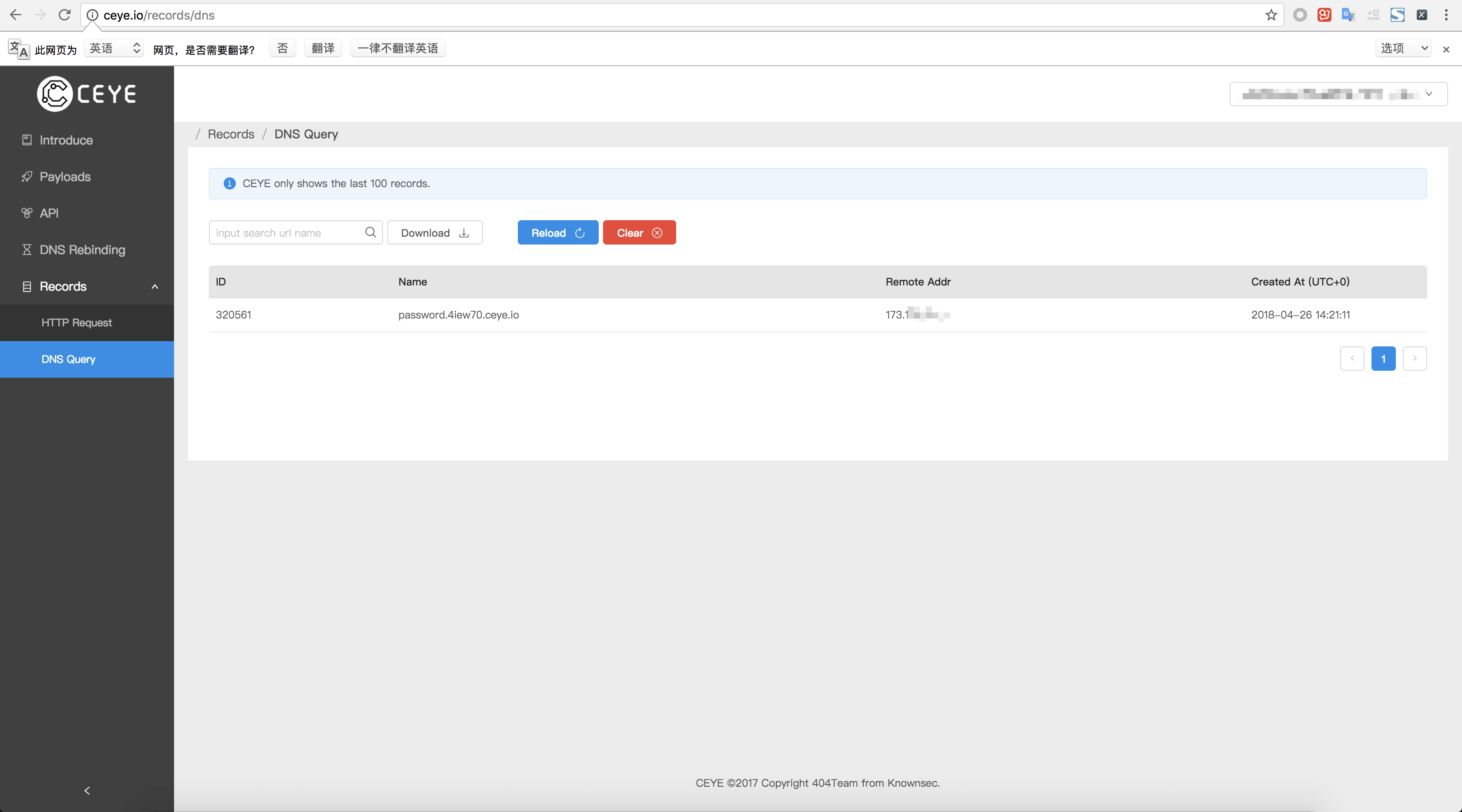 DNS Query